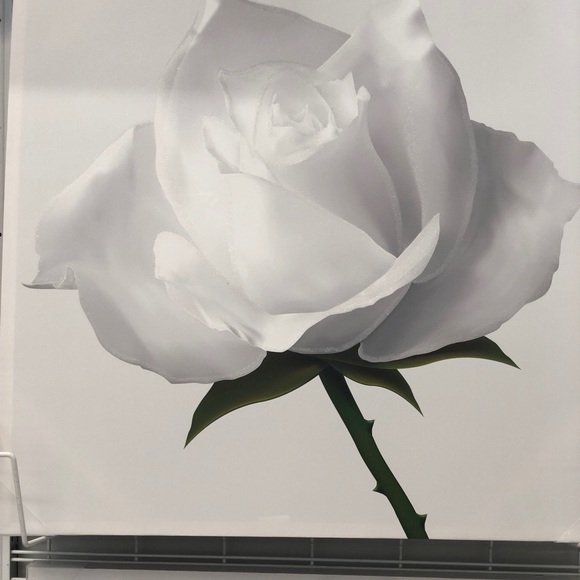 Meet your Posher, Sepid - Picture 1 of 1